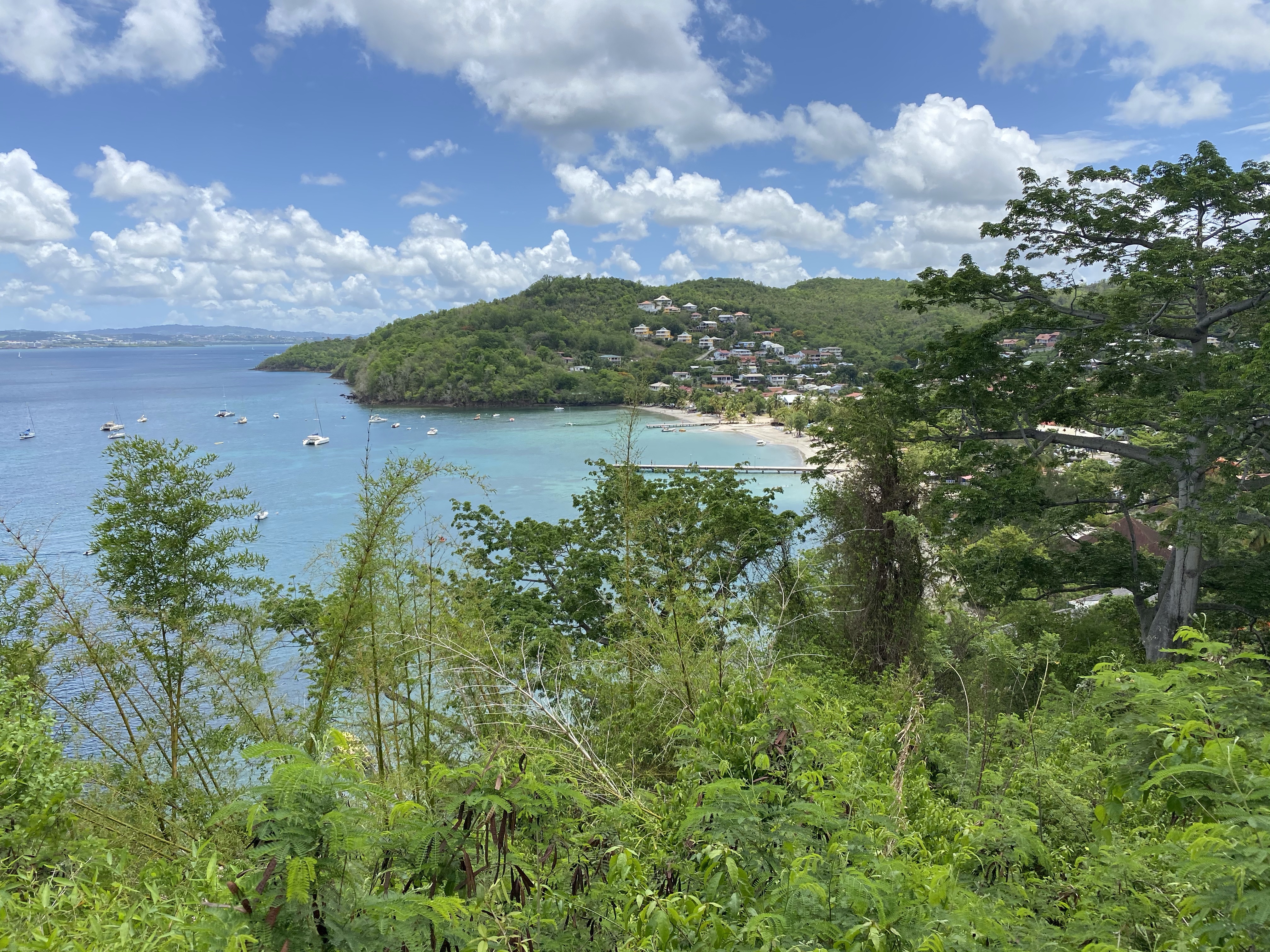Randonnée entre l&rsquo;Anse Mitan et l&rsquo;Anse Bellay : un voyage entre nature et mémoire