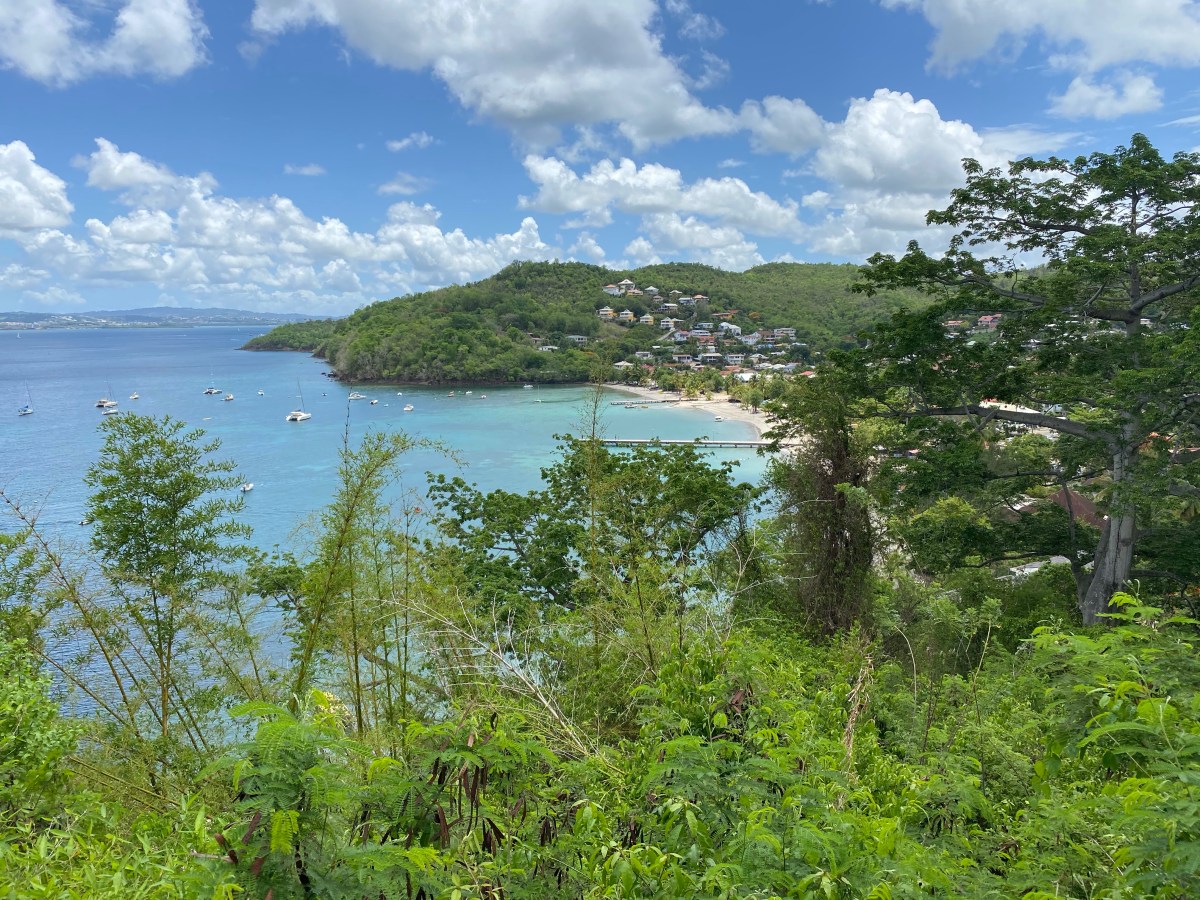 Randonnée entre l&rsquo;Anse Mitan et l&rsquo;Anse Bellay : un voyage entre nature et&nbsp;mémoire
