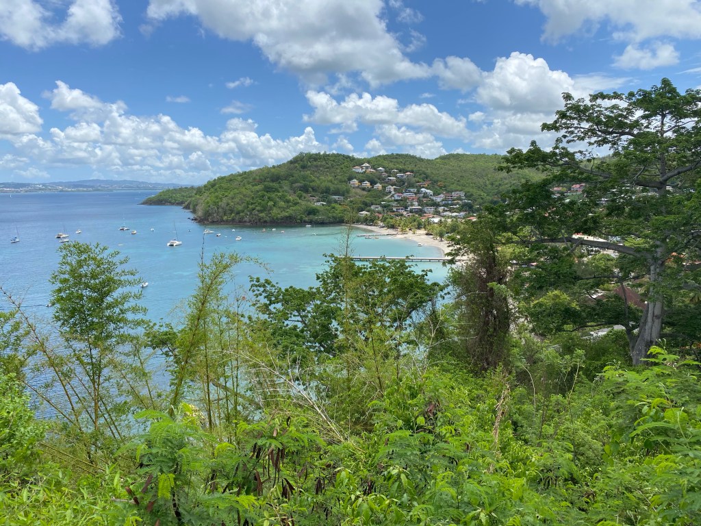 Randonnée entre l&rsquo;Anse Mitan et l&rsquo;Anse Bellay : un voyage entre nature et&nbsp;mémoire