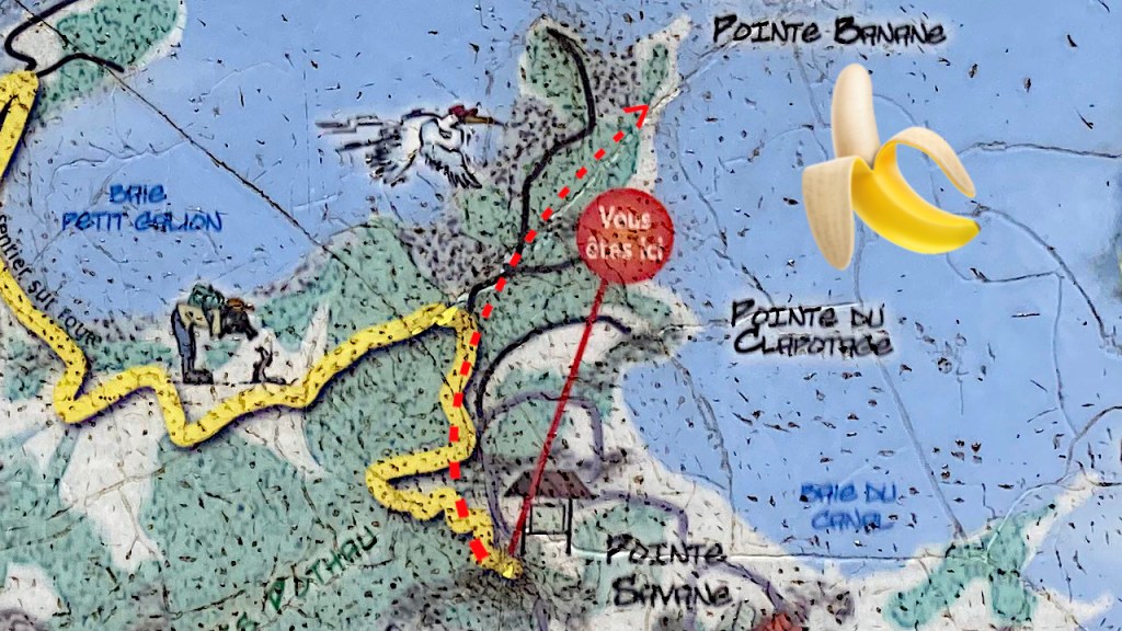 Randonnée au Robert : De la Pointe Savane à la Pointe&nbsp;Banane