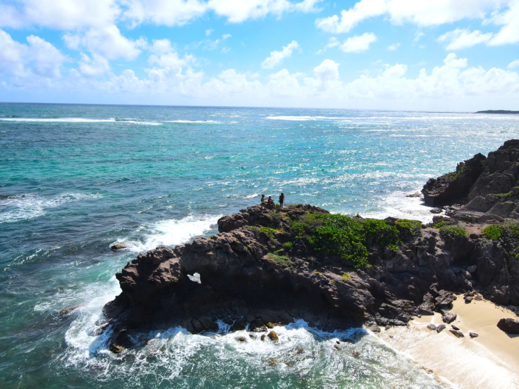 Randonnée au Domaine de Grand Macabou : boucle des mornes et boucle de l&rsquo;étang&nbsp;Massel