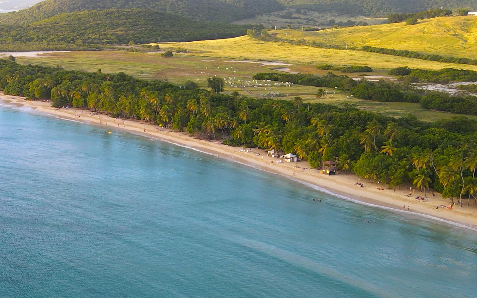 Plage de la Grande Anse des Salines, une réserve naturelle de la commune de Sainte-Anne