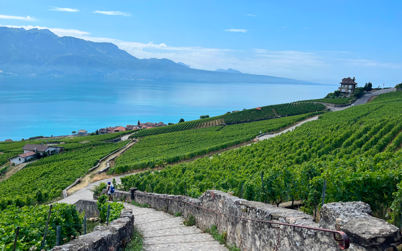 Randonnée dans les vignes de Lavaux en Suisse